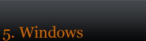 5. Windows    
